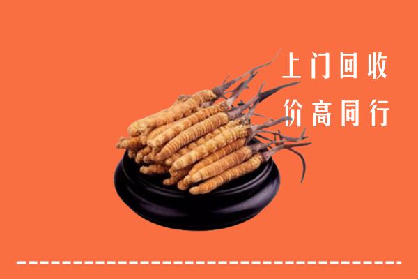 高价求购：忻州静乐回收散虫草