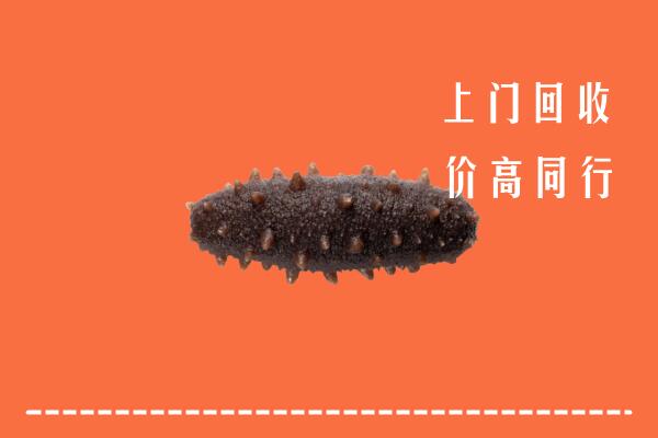 高价求购：忻州静乐回收海参