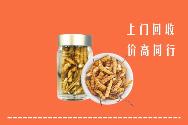 忻州静乐回收冬虫夏草
