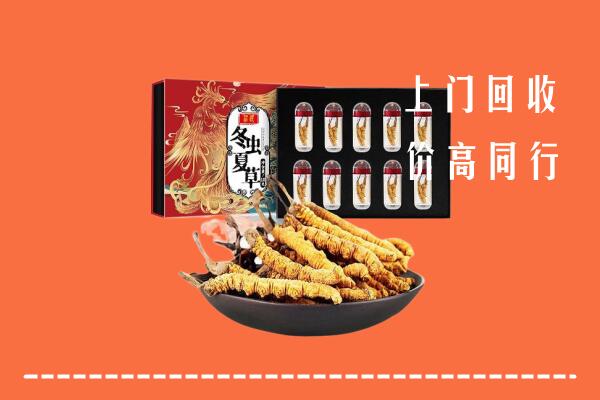 忻州静乐回收虫草